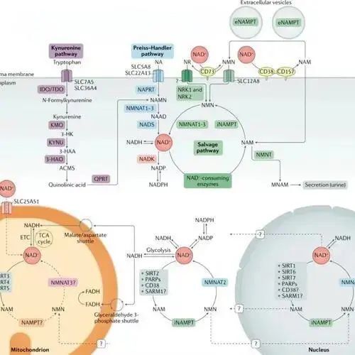微信图片_2025-08-04_153659_183 微信图片_2025-08-04_153659_183