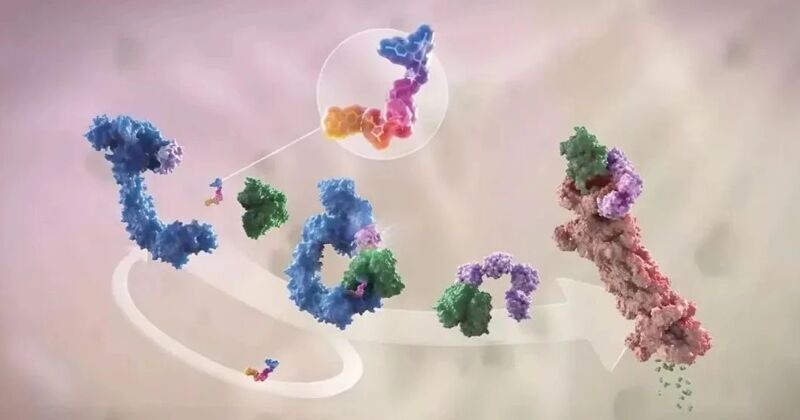 微信图片_2025-08-04_155051_230 微信图片_2025-08-04_155051_230