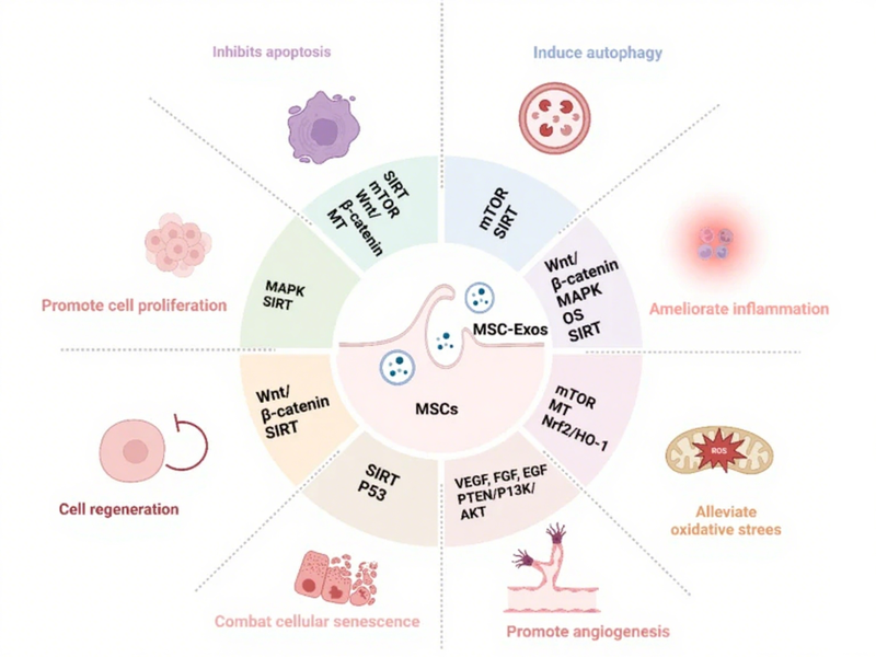 微信图片_2025-08-04_155406_497 微信图片_2025-08-04_155406_497