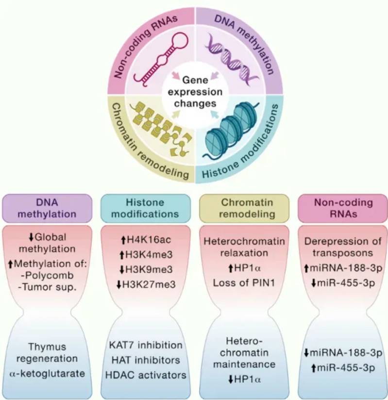 wechat_2025-08-13_163207_598 wechat_2025-08-13_163207_598