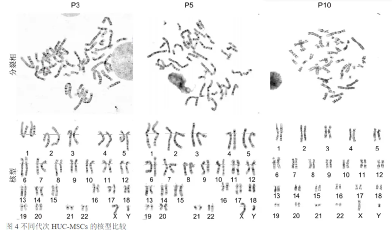 wechat_2025-09-12_150938_459 wechat_2025-09-12_150938_459